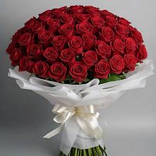 Букет 101 Красная роза Блэк Мэджик в Юдино Республика Татарстан