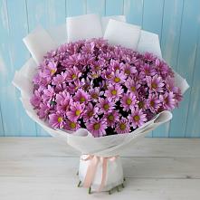 Букет цветов из:  Хризантемы в Юдино Республика Татарстан