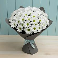 Букет цветов из:  Хризантемы в Юдино Республика Татарстан