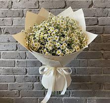Букет цветов из:  Ромашки в Юдино Республика Татарстан