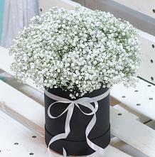 Цветочная композиция из Гипсофила в шляпной коробке #REPLACE_PRED# Юдино Республика Татарстан