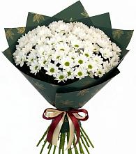 Букет цветов из:  Хризантемы в Юдино Республика Татарстан