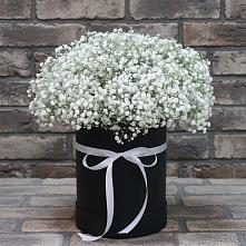 Цветочная композиция из Гипсофила в шляпной коробке в Юдино Республика Татарстан