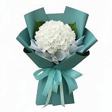 Букет цветов из:  Гортензия в Юдино Республика Татарстан